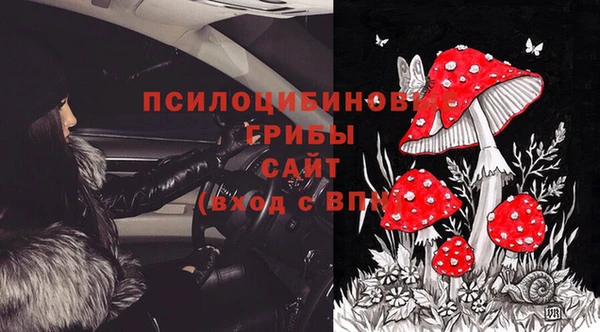ПСИЛОЦИБИНОВЫЕ ГРИБЫ Ступино