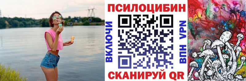 Псилоцибиновые грибы Psilocybine cubensis  Купить где  Енисейск 